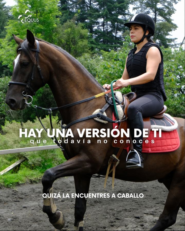 Pieza de campaña para EQUUS Hípica Galicia con jinete a caballo